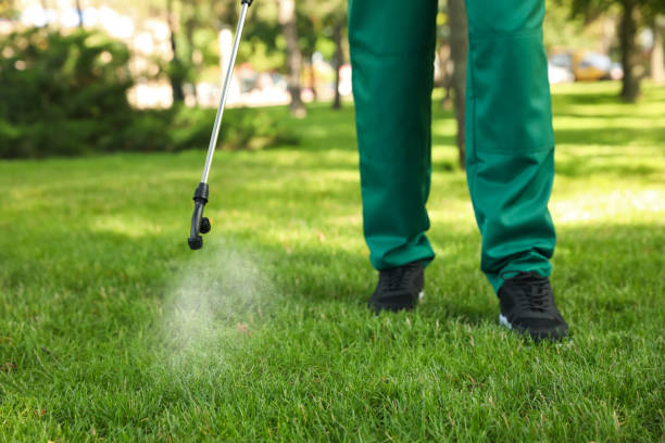 Wasp Removal Services in Alburtis, PA